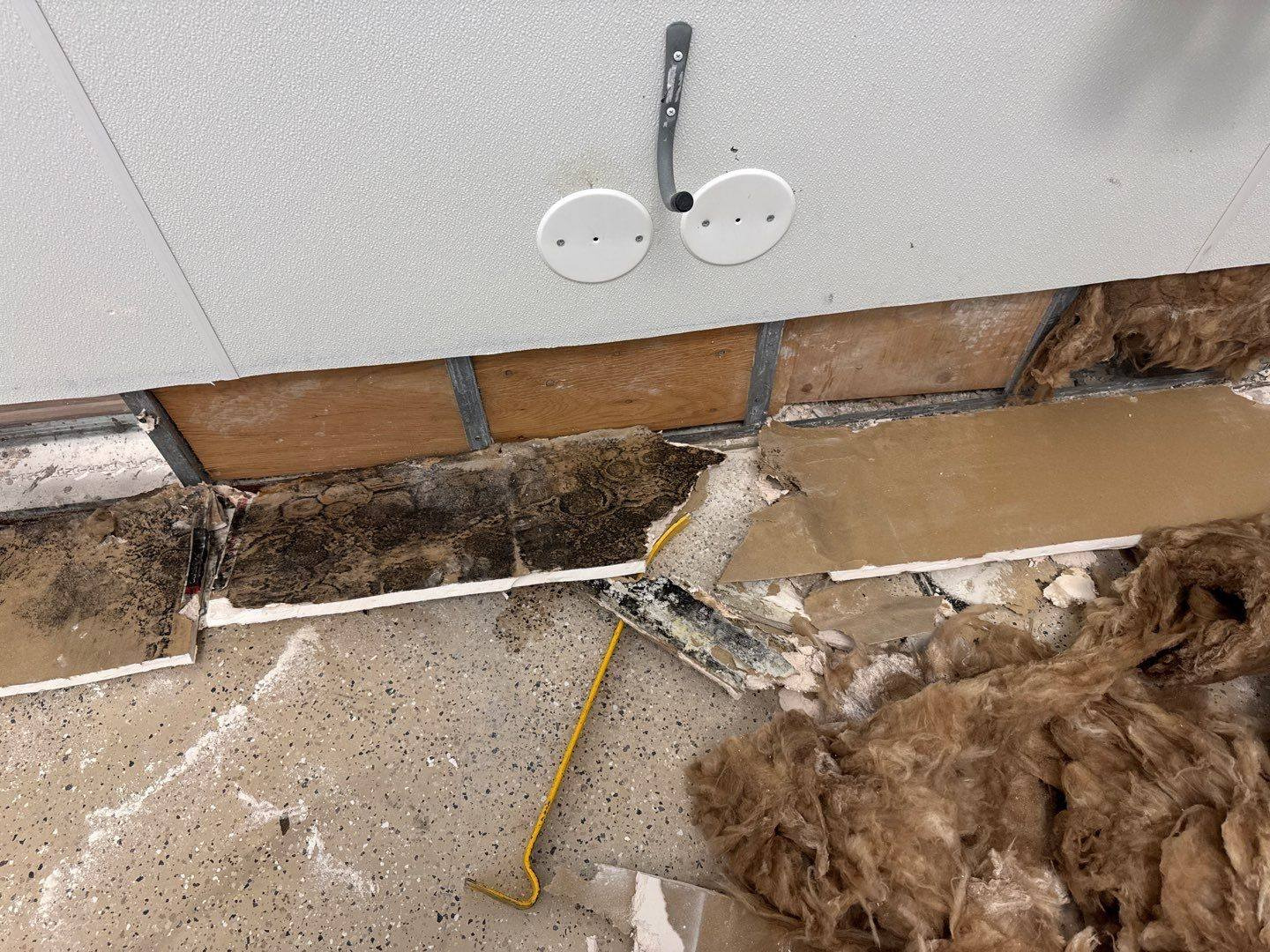 Mold remediation specialist inspecting interior damage and containment needs