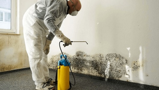 Mold containment and remediation work in West Jordan, Utah.