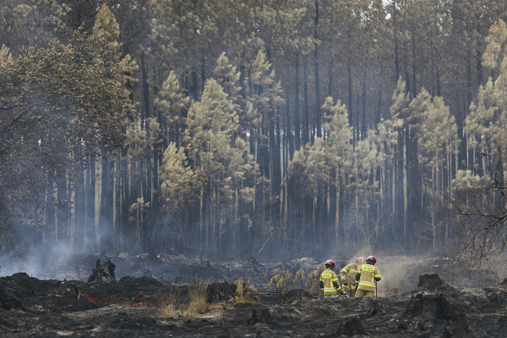 Intense brush fire with flames spreading rapidly across dry grassland