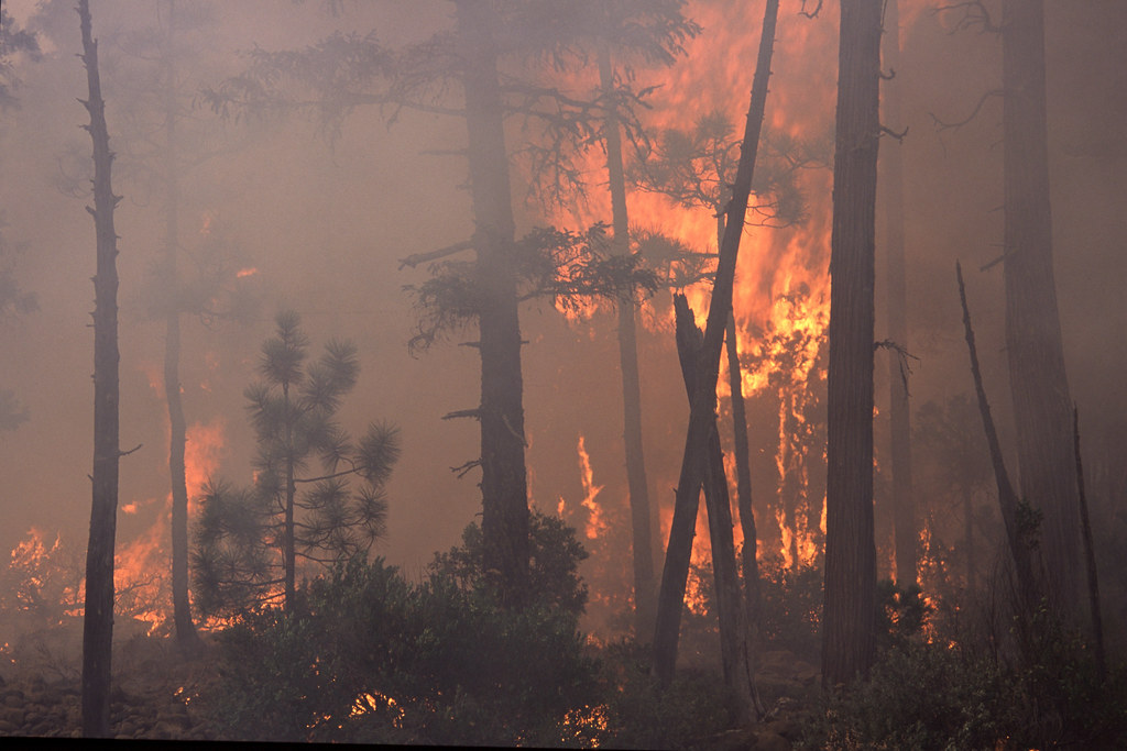 Massive smoke plume rising from a forest wildfire visible across the valley